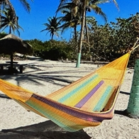 Hammock Surf